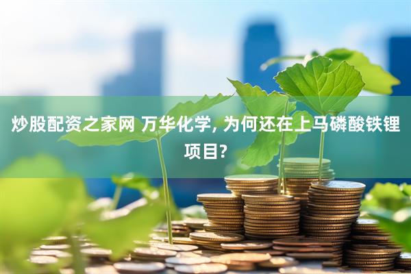 炒股配资之家网 万华化学, 为何还在上马磷酸铁锂项目?