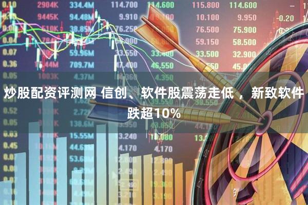 炒股配资评测网 信创、软件股震荡走低 ，新致软件跌超10%